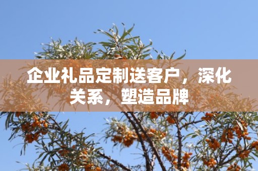企业礼品定制送客户，深化关系，塑造品牌