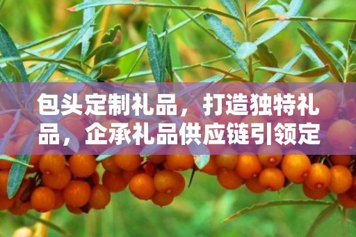 包头定制礼品，打造独特礼品，企承礼品供应链引领定制新风尚